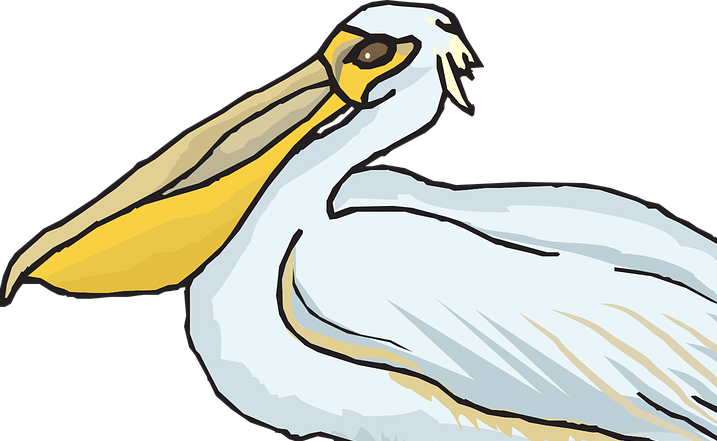 A pelikánmadár