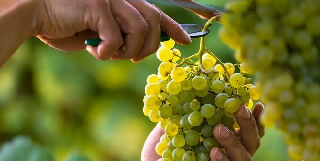 5 őszi gyerekvers kisiskolásoknak