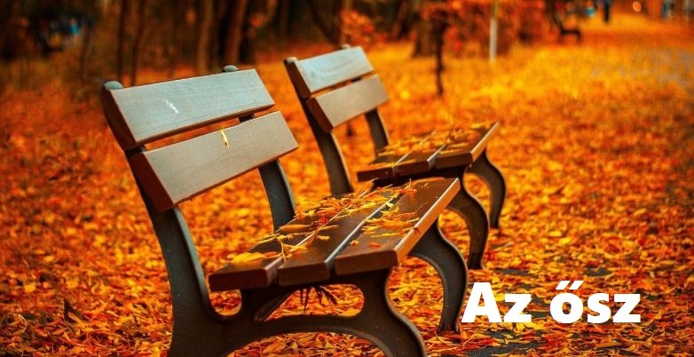 Az ősz - gyerekvers óvodásoknak